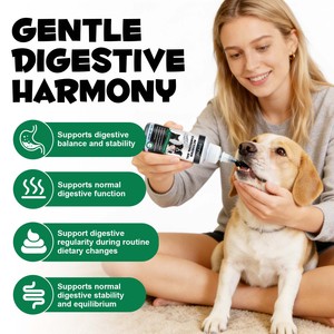 Oimmal Gel de <span class=keywords><strong>Charbon</strong></span> <span class=keywords><strong>Actif</strong></span> 100% Naturel à Haute Absorption <span class=keywords><strong>pour</strong></span> <span class=keywords><strong>Chiens</strong></span> et Chats - Product Image 3