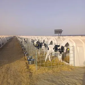 Vache en plastique sûre et durable de cage animale de catégorie comestible de cage d'animal blanche