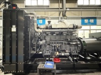 Groupe électrogène diesel silencieux refroidi par eau Yuchai 180 kW 225 kVA, triphasé 50 Hz/60 Hz, avec capot insonorisé et ATS, pour utilisation en veille