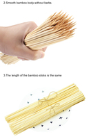 Brochettes de barbecue jetables écologiques et sûres, longues, pour le camping et l'extérieur, compostables, fabriquées en Chine (vente en gros)