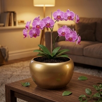 Vente en gros de pots de fleurs artificielles en orchidée, écologiques, style Japandi, rustiques, pour jardin extérieur, mariage, bureau, en PP verni, 12L