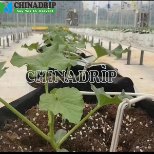 Trang Trại Hệ Thống Thủy Lợi Vườn Nhỏ Giọt Mũi Tên Nhỏ Giọt Cổ Phần Nhỏ Giọt Với Emitter Bên Trong - Product Image 1