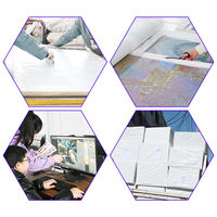 Ever Moment Pintura de Diamantes Animales Campo Nevado Gato Zorro Conejo Estilo Sencillo y Refrescante Colección de Arte Caja Misteriosa Adorable Regalo 5L1525