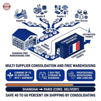 Agent d'approvisionnement maritime DDP France, consolidation d'entrepôt, dropshipping Shopify, fulfillment porte-à-porte, 20-25 jours