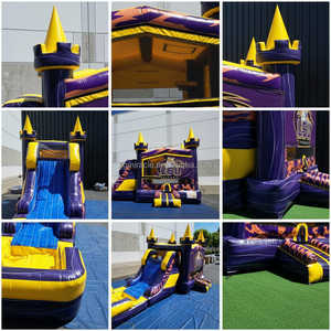 Château gonflable commercial avec toboggan aquatique, mascotte tigre 3D, château gonflable avec piscine pour location événementielle - Product Image 4