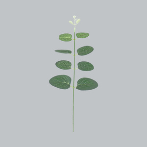 Ramo de Hojas de Eucalipto Artificiales Meng Jie, 30cm-100cm, Flor de Seda, Decoración para Bodas, Exteriores y Hogar - Product Image 3