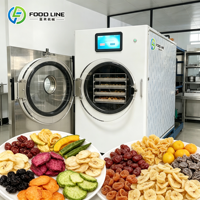 Équipement de transformation alimentaire pour petites productions commerciales, petite machine de lyophilisation