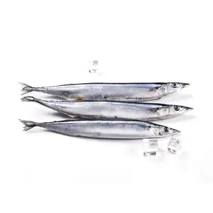 太平洋秋刀鱼优质品质