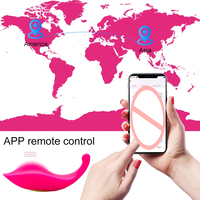 Vibrateur de culotte puissant à télécommande, stimulateur clitoridien et point G pour couple, rechargeable, jouet sexuel pour femmes