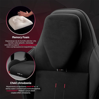 Chaise de jeu très vendue, chaise de PC OEM, chaise de jeu réglable, accoudoirs réglables 2D/3D, cuir PU pour les joueurs