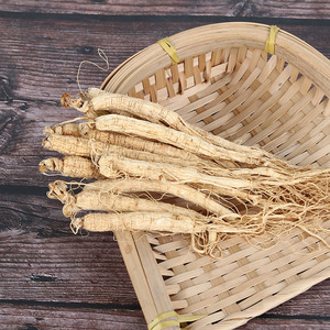 Organik tohumlar vahşi % çin ürünleri kök ham işleme Renshen kurutulmuş <span class=keywords><strong>Panax</strong></span> <span class=keywords><strong>Ginseng</strong></span> - Product Image 2