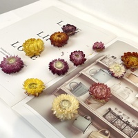 Fleurs de Helichrysum séchées naturelles multicolores en gros pour matériaux de bricolage, décoration de mariage, maison, fête et festival