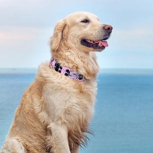 Holesale-<span class=keywords><strong>collar</strong></span> táctico de nailon grueso para perro de raza mediana y grande, con anillo de metal en D - Product Image 5