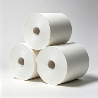 Printable Extensible White Kraft Paper High Tear Resistance Elastic Sack Paper for Dry Mortar Putty Powder Sacks