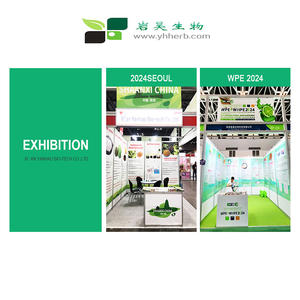 ISO-кошерная сертифицированная натуральная пила Пальметто экстракт 85% жирных кислот порошок пила Пальметто Ягодное масло - Product Image 2