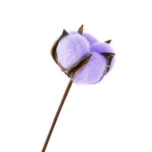 Cina prezzo di fabbrica fiore artificiale lungo stelo singolo secchi fiori di cotone per la decorazione domestica - Product Image 5