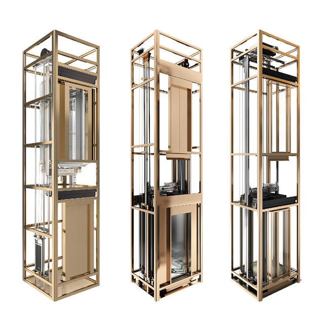 Small Home Lift Single Person Elevator for Sale