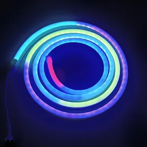RGB Led personnalisé 12V 3535 RGB 72LED néon corde Flexible lumière couleur numérique intelligent adressable Led néon bande lumineuse