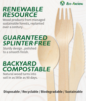 Cuillère en bois de bonne qualité, fourchette, couteau, ensemble de couverts jetables en bois biodégradable