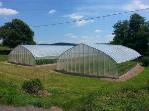 Serre <span class=keywords><strong>tunnel</strong></span> pour <span class=keywords><strong>tomates</strong></span> de 8x12 mètres, serre à film pour jardin domestique - Product Image 4