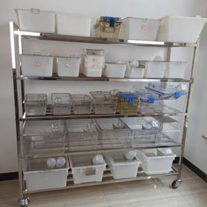 Haute qualité en acier inoxydable rat cage rack laboratoire bouteille d'eau rongeur élevage Cage pour souris souris rongeur alimentation - Product Image 5