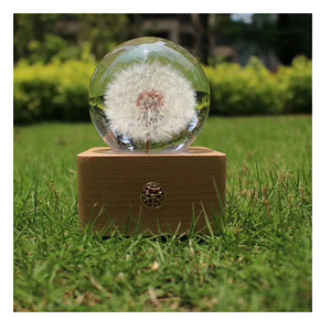 Yunnan fábrica venta al por mayor hermosa bola <span class=keywords><strong>de</strong></span> cristal caja <span class=keywords><strong>de</strong></span> <span class=keywords><strong>música</strong></span> Rosa bola <span class=keywords><strong>de</strong></span> cristal <span class=keywords><strong>música</strong></span> - Product Image 2