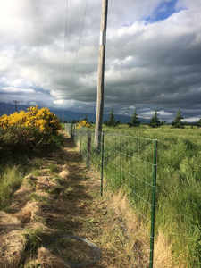 Clôture de ferme galvanisée à chaud pour chevaux, moutons et bovins, hauteur <span class=keywords><strong>1</strong></span>/<span class=keywords><strong>1</strong></span>,2/<span class=keywords><strong>1</strong></span>,5/<span class=keywords><strong>1</strong></span>,8 <span class=keywords><strong>m</strong></span>, fabriquée en Chine - Product Image 4