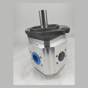 Bomba de engranajes RA 23 Bomba de aceite de alta presión Bomba hidráulica Serie <span class=keywords><strong>EIPC</strong></span> 1 RA 23 DE 12. 2. 3. 1. 3. - Product Image 1