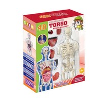 Pièces de corps humain en plastique Puzzle torse anatomie organes pièces modèle moule jouets pour enfants école biologie éducation tige Kit