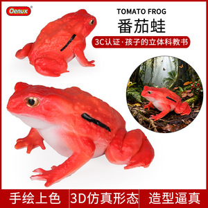 yxs Modello Animale Selvatico di Madagascar, Giocattolo per Bambini, Simulazione Foresta Tropicale, Anton Gilly Rosso - Product Image 1