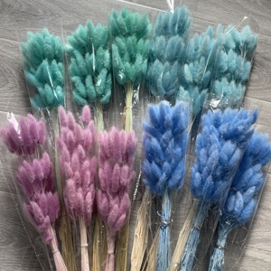 60 tiges de fleurs séchées et préservées du <span class=keywords><strong>Lagurus</strong></span> (Queue de Lapin) - Longue durée, écologiques, pour la Saint-Valentin, la Fête des Mères, Pâques - Product Image 4