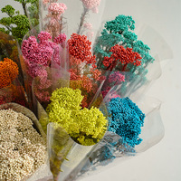 Bunga Beras Awetan Grosir, Bahan Bunga Alami untuk Florist, Toko Bunga, Buket Pernikahan, Rangkaian Bunga, Kerajinan DIY