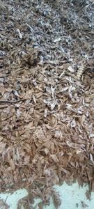 Granulés de caoutchouc colorés <span class=keywords><strong>pour</strong></span> aire de jeux, directement de l'usine, sans impuretés, <span class=keywords><strong>pour</strong></span> les parcs d'attractions - Product Image 5