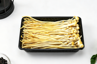Boîte d'emballage pour champignons en plastique PP/PET/PVC écologique et jetable, avec couvercle transparent, qualité alimentaire, personnalisable pour les champignons comestibles frais (bois)