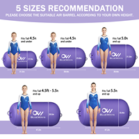 Vente en gros de baril gonflable de gymnastique pour enfants et adolescents, piste de tumbling gonflable de 80 cm à 120 cm avec gonfleur, usine OEM, CE BSCI
