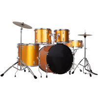 Wholesale OEM Custom 5-piece Adjustable Acoustic Drum Set with Metal & Wood Poplar Shell 2 Cymbals Hardware for Music Beginners