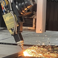 Machine de découpe laser à portique 1500W à couvercle de protection contrôlé PID avec source laser Raycus/Max/IPG
