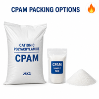 Polyacrylamide Cationique pour la Déshydratation des Boues, Floculant en Poudre à Haute Efficacité