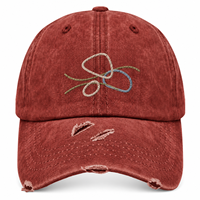 Casquette de baseball unisexe adulte brodée en sergé de coton lavé et vieilli, 6 panneaux, réglable, vente en gros, OEM, directement de l'usine