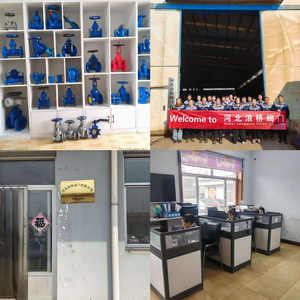 مقياس التدفق الكهرومغناطيسي طراز LDJ للمياه العادمة ومياه الصنبور - Product Image 6