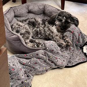 Nueva <span class=keywords><strong>Cama</strong></span> para Mascotas de Piel Sintética Súper Suave, <span class=keywords><strong>Cama</strong></span> Ortopédica Relajante de Lujo para Perros, Redonda, de Felpa, Lavable, Grande - Product Image 4