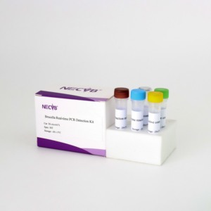 Brucella spp. Kit de Detección de PCR en Tiempo Real - Product Image 4