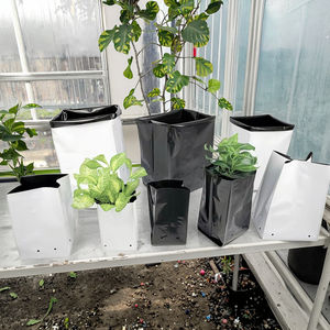 Sacos de Enraizamento de Plástico Polietileno Preto Personalizados em Formato Quadrado - Product Image 4