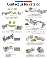 Commerciële salade- en bladgroenteverwerkingslijn 500-2000kg/uur was-, snij- en droogmachine voor bedrijven