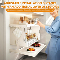 Étagère à épices moderne à double niveau en acier au carbone durable, multifonctionnelle, à suspendre au mur pour armoire de cuisine