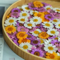 Kristal Krisan Risen DIY Akrilik Lucite Bunga Daisy Kecil Asli Gaya Hutan Peri Super Perhiasan Mata Domba Grosir