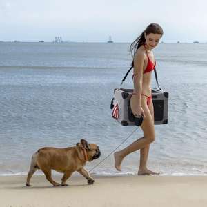 Niche Portable à 3 portes pour chiens, caisse de voyage pliable et sur le côté pour animaux domestiques, pour petits, moyens et grands chiens, usage intérieur et extérieur - Product Image 2