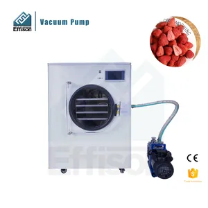 Machine de lyophilisation de lyophilisateur de nourriture sous vide pour la viande à base de plantes de fruits et de légumes de grande taille