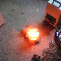Machine de chauffage par induction de forgeage de fer en acier d'utilisation de laboratoire 30KW avec PLC et composants de noyau de moteur