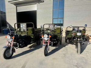 Tricycle à trois roues, moto-tricycle, <span class=keywords><strong>camion</strong></span> de <span class=keywords><strong>transport</strong></span> agricole, à essence, à carrosserie ouverte, certifié CEE - Product Image 6